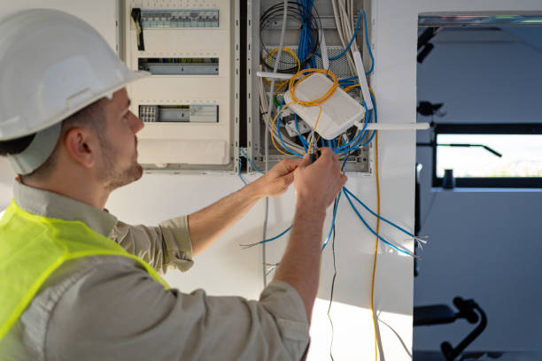 Best Electric Panel Repair  in Jesup, IA